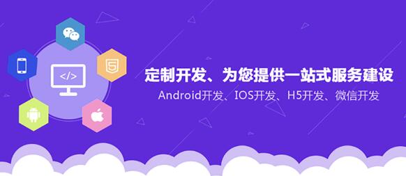 軟件開發(fā)定制